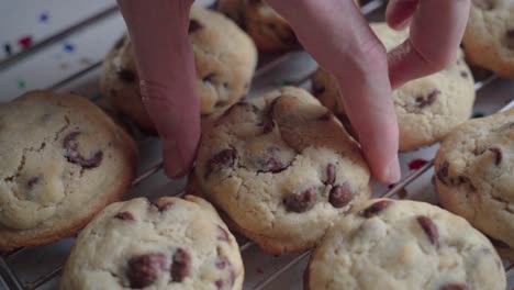 Hand-Picks-Chocolate-Cookie-from-Cooling-Rack,-Close-Up-Detail