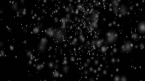 blurred circles bokeh flying on black background. motion animation of blurred circles. defocused effect. horizontal composition, 4k video quality