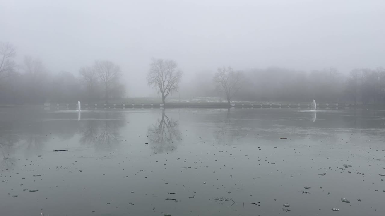 Foggy winter view of a lake with reflections of trees in the water.