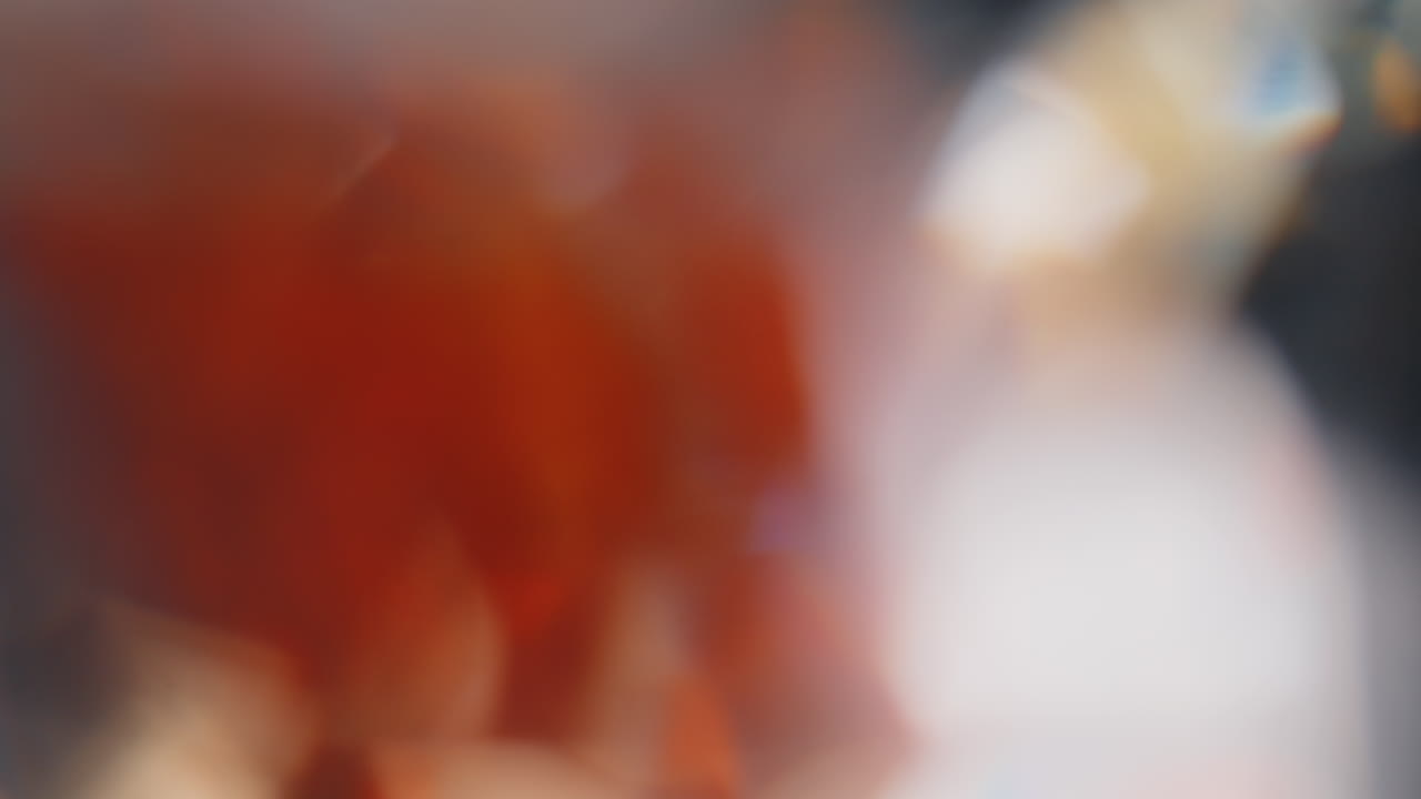 fugas de luz 4k imágenes lente resplandor llamarada bokeh superposiciones quemar llama fondo efecto de rayos flash