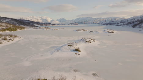 an eagle flying above a frozen lake in northern norway