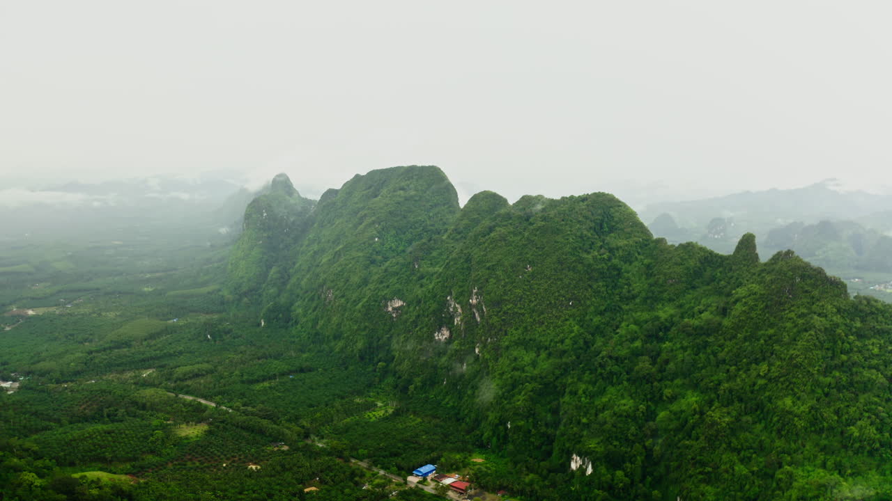 Misty Mountain Range with Lush Green Forest