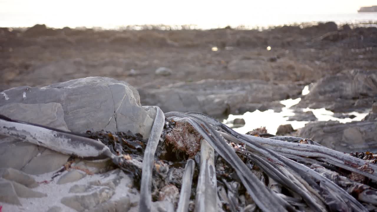 close up de las rocas y la piscina de marea en la playa, cámara lenta