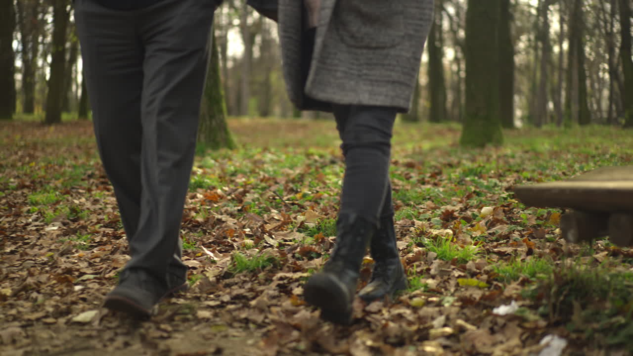 Couple Walking in Autumn Forest