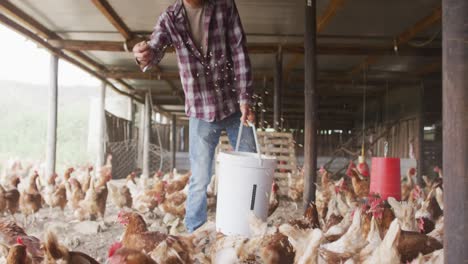 Hombre-Caucásico-Feliz,-Trabajando-En-La-Granja,-Alimentando-Pollos