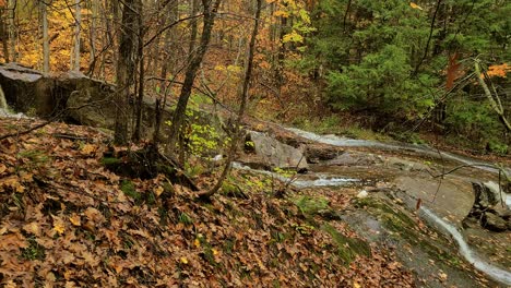 Kleine-Bäche-Und-Wasserfälle-In-Wunderschöner-Natur