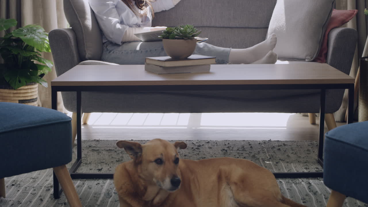 책을 읽는 젊은 여자