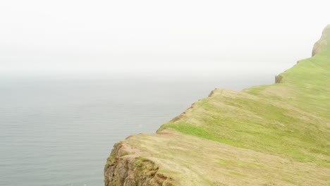 Iceland---Beautiful-Tall-Sea-Cliffs-in-North-Westfjords-Landscape---Aerial-Drone