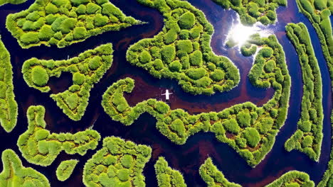 aerial view of lush green wetlands with intricate waterways