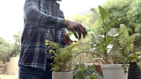 focused mature african american man watering plants in garden, slow motion