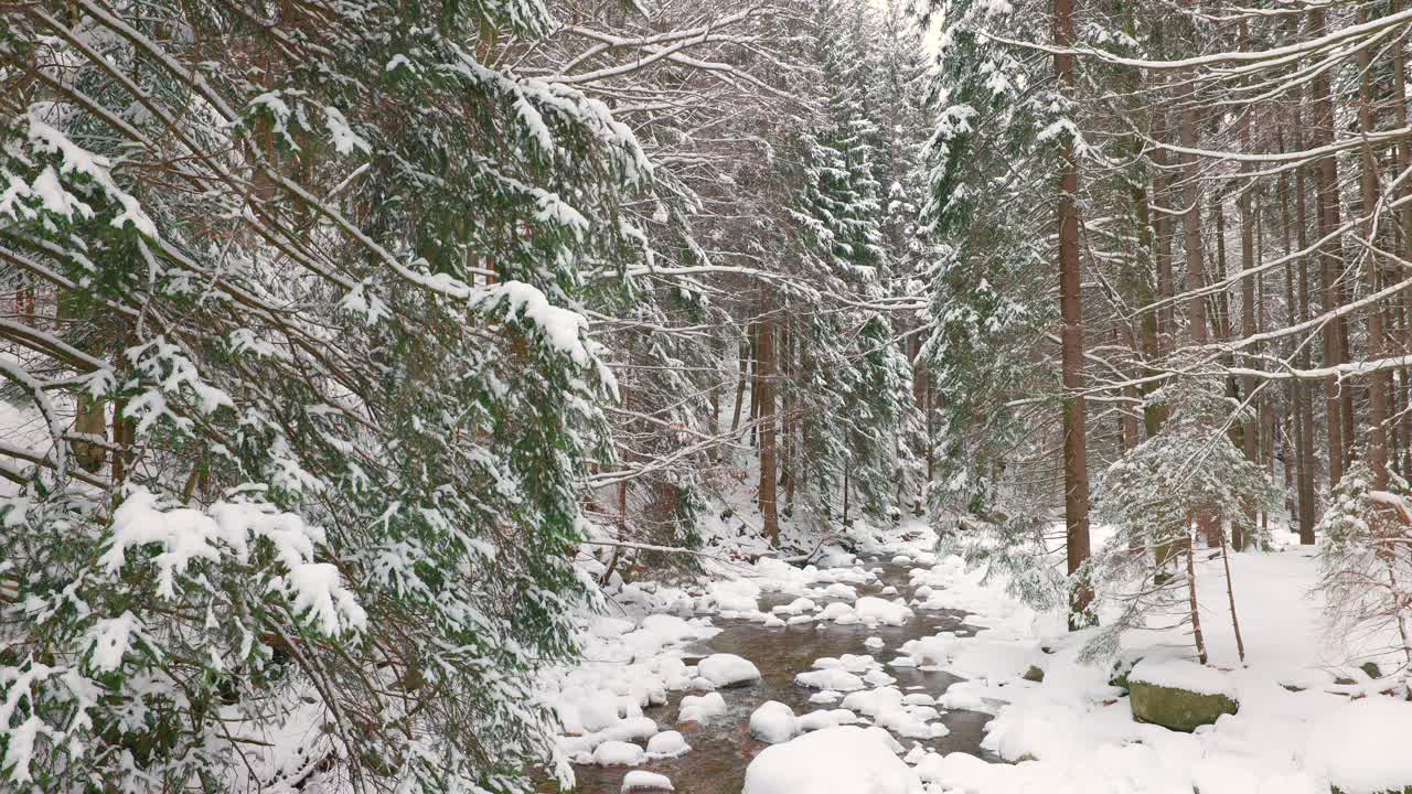 Idyllic wilderness, countryside creek, crisp untouched winter scenery