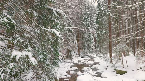 idyllic wilderness, countryside creek, crisp untouched winter scenery