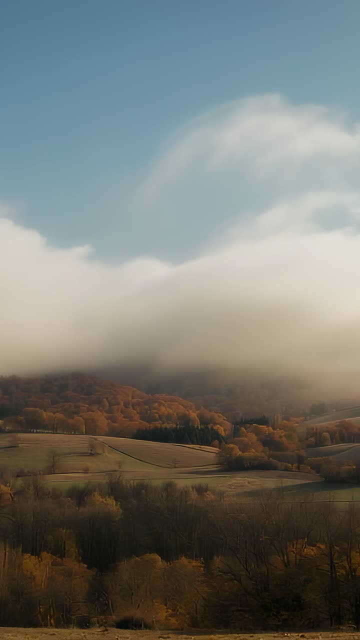 Vertical video: Rising mist enveloping rolling hills fields and trees in autumn valley