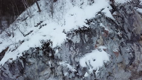snowy winter forest and mountainside