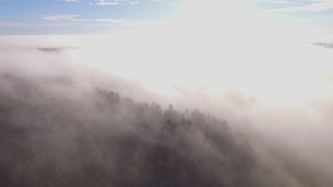 Forest Tree Tops Surrounded By Thick Fog. Aerial Arc Panning Left