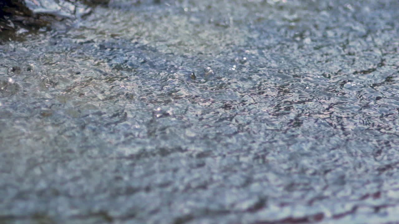 Close-up of Raindrops Splashing and Rippling on Water Surface