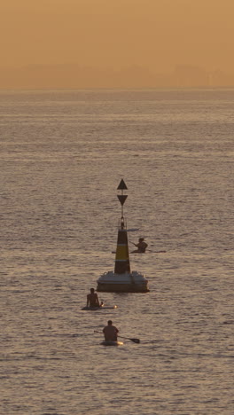 personas en la sombra de paddle surfing en barcelona a primera hora de la mañana en vertical