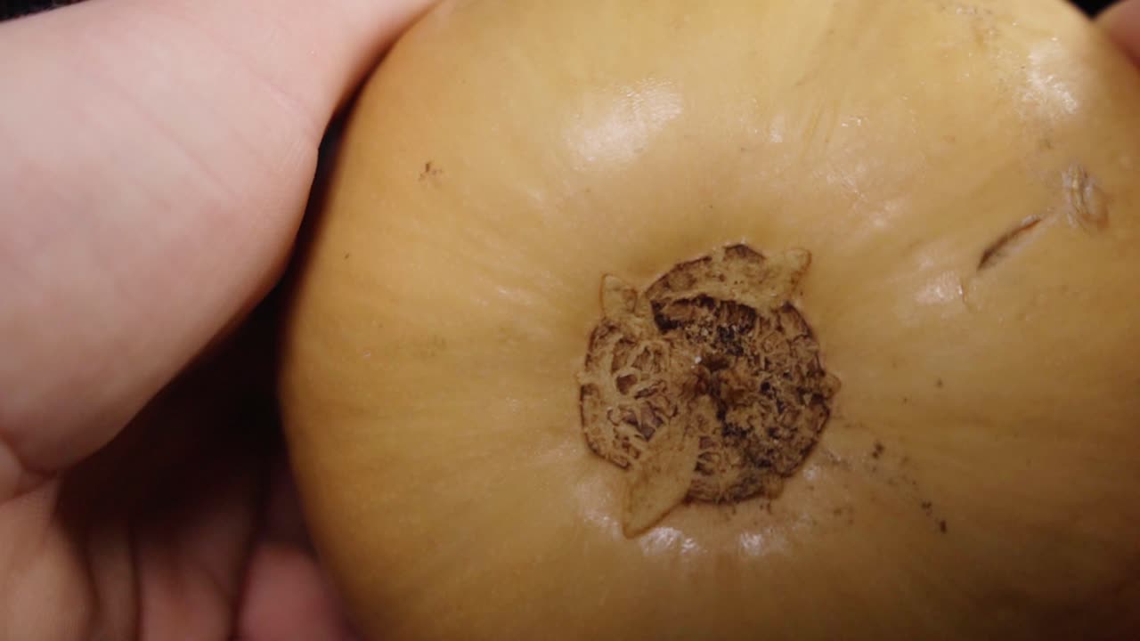 맛있는 버터너트 바닥  ⁇ 은 검은 화면 배경으로 회전