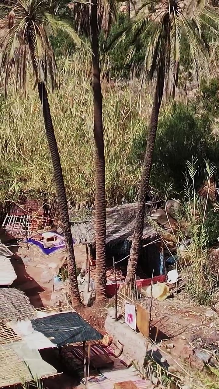 Vista aerea di palme nel lussureggiante paesaggio del Marocco con vegetazione