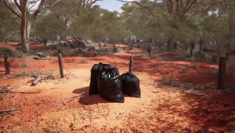 closeup of full trash bags on the sand