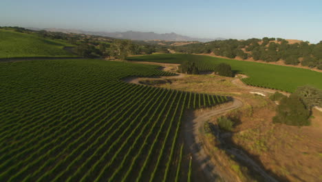 Hubschrauber-Niedrige-Antenne-Von-Santa-Barbara-County-Weinberge-Kalifornien-10