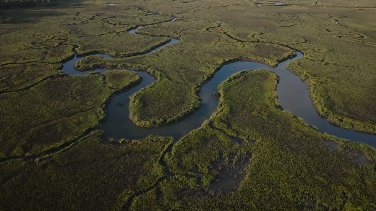 Aerial view of a marshland with rivers