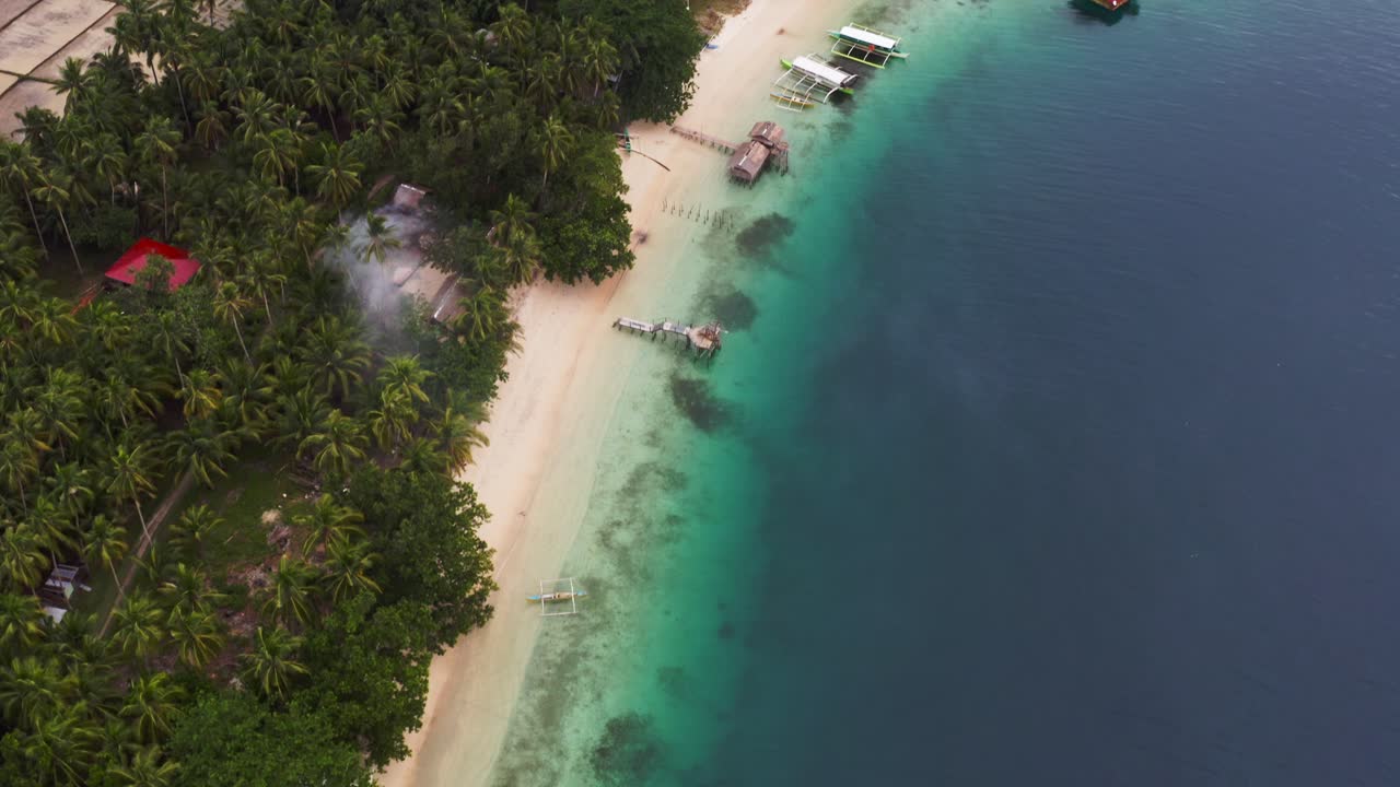 paisaje de denso bosque de coco junto a la costa arenosa de la isla de san pablo en el sur de leyte, filipinas