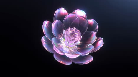 iridescent translucent flower on black background