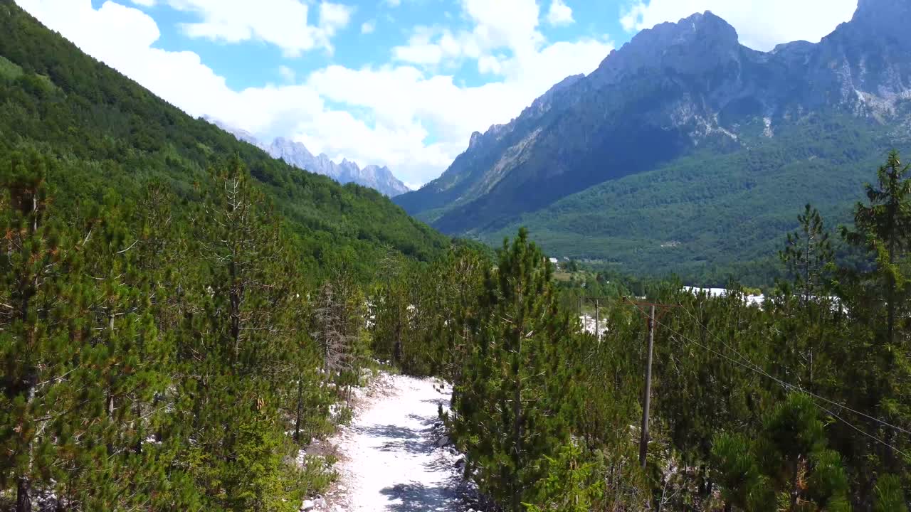 Sentiero escursionistico attraverso una foresta montana
