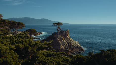 Ciprés-Solitario-A-17-Millas-En-Coche-En-Monterey,-California,-Big-Sur-Pacific