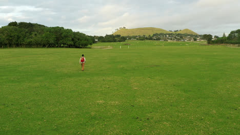 Un-Hombre-Caminando-Por-El-Parque-De-Ovejas