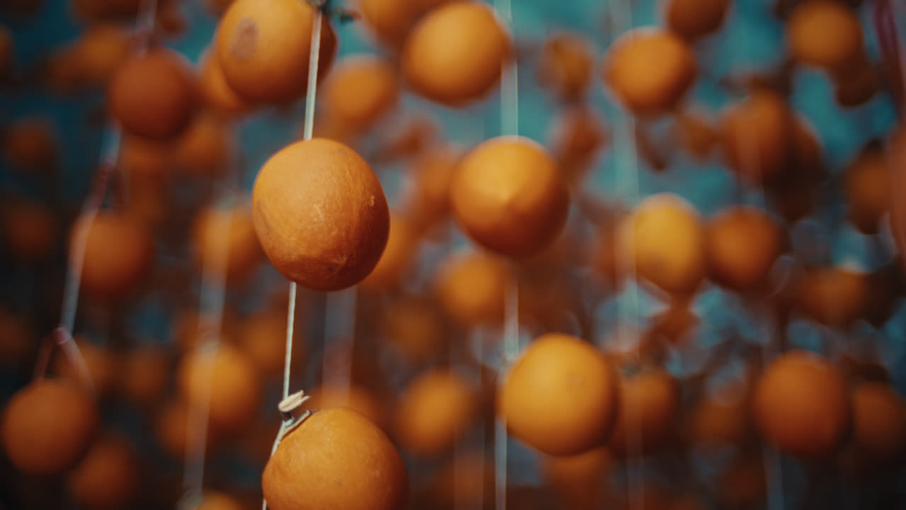 Oransseja persimon-hedelmiä roikkuu naruissa kuivumassa, luoden perinteistä hoshigakia. Kuva on otettu matalasta kuvakulmasta.