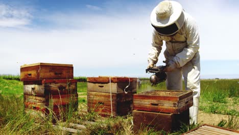 Imker-Räuchert-Die-Waben-Eines-Bienenstocks-Mit-Einem-Bienenstockräuchergerät