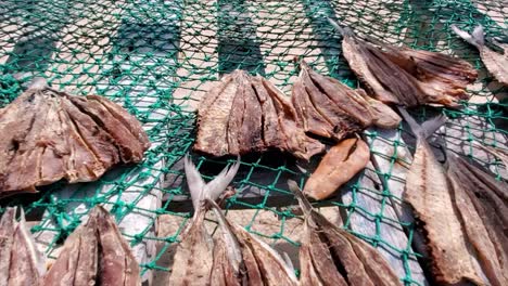 sun dried fish on outdoor fishing mesh, pan left detail local seafood, los roques