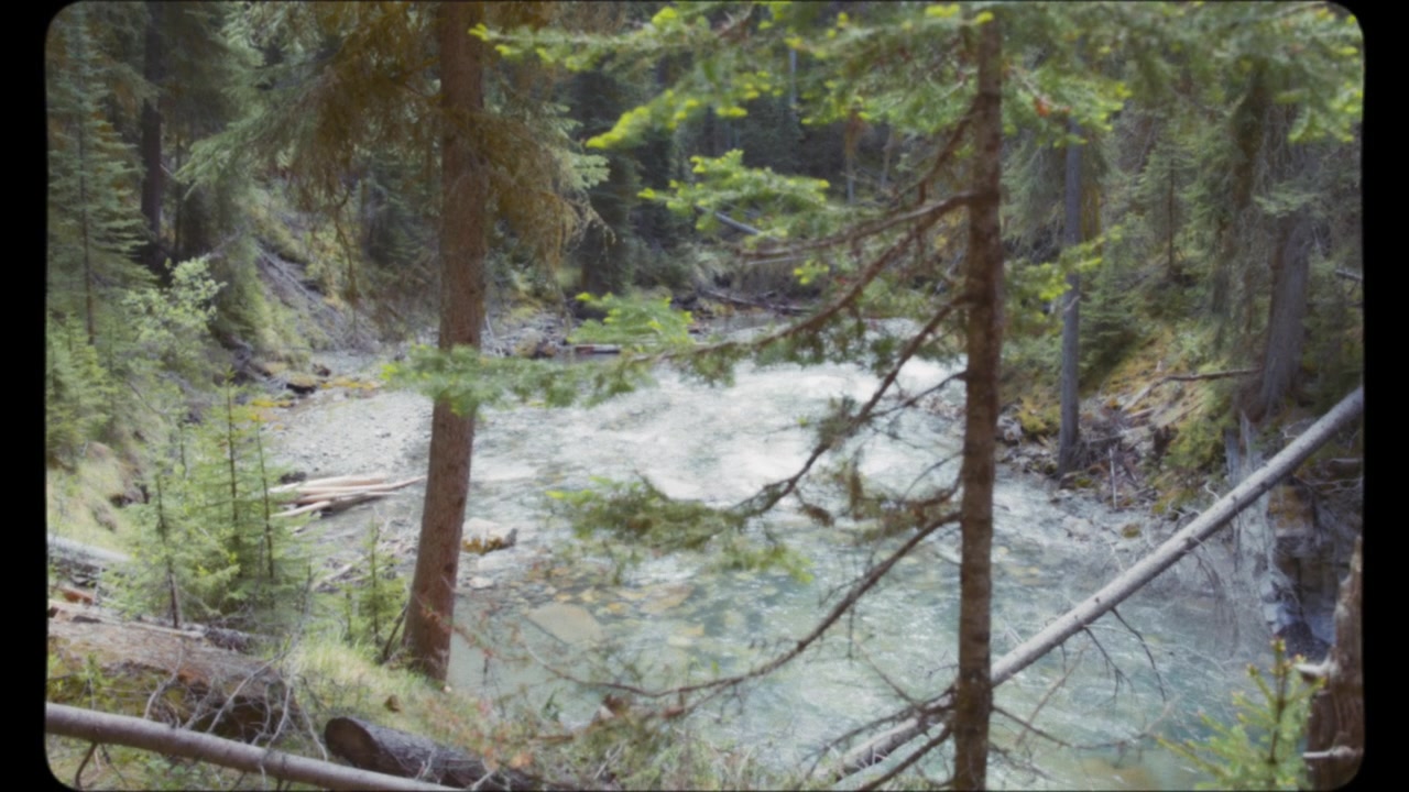 Mountain river flows through the forest