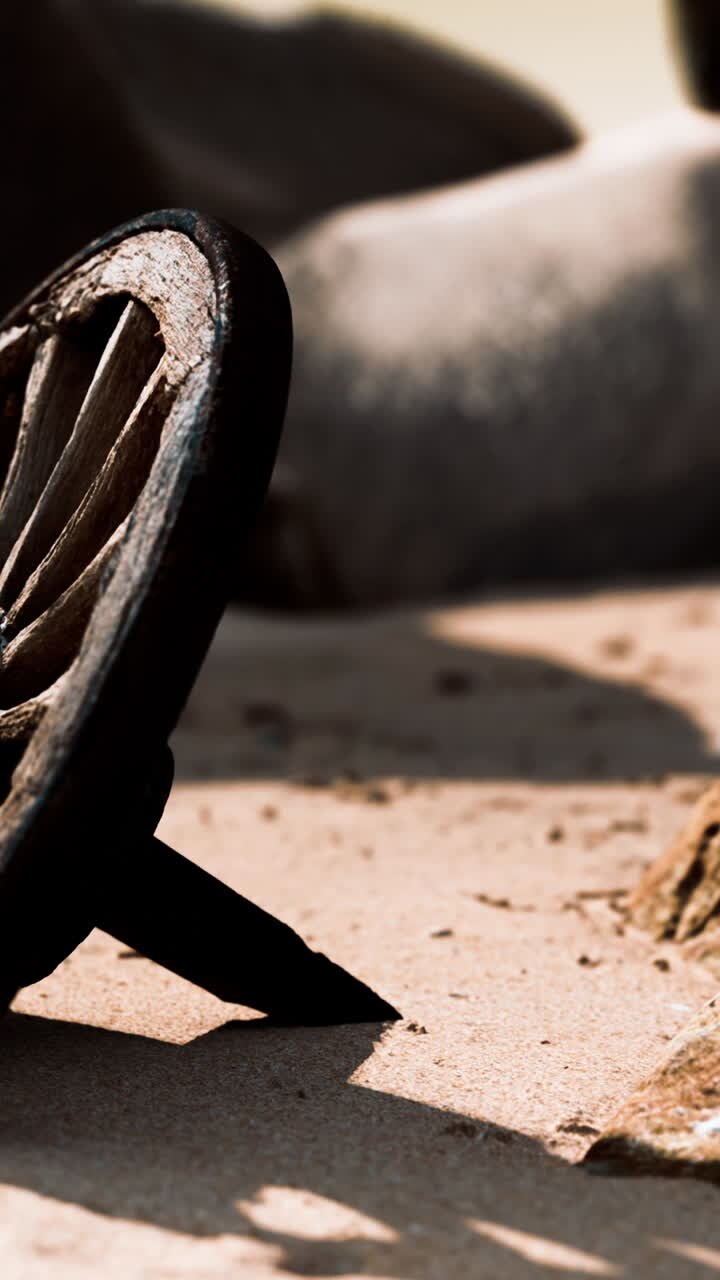 Old Wooden Wheel in the Desert Sand