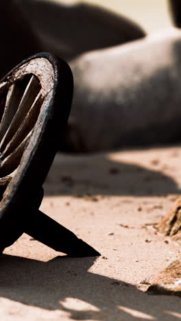 old wooden wheel in the desert sand