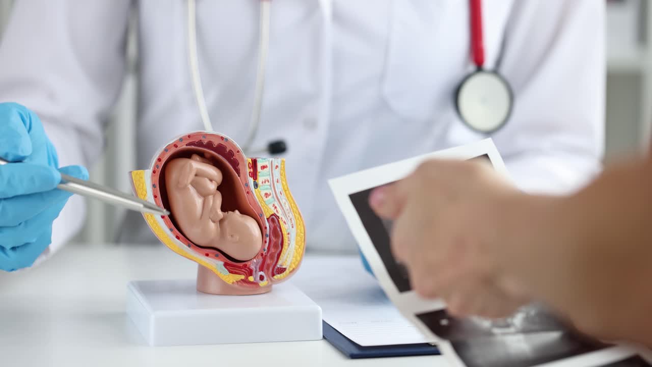 Woman visits gynecologist in hospital for consultant on pregnancy and examination of fetus of child
