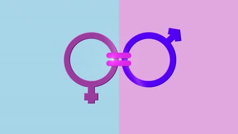 Animation-of-pink-and-purple-female-and-male-gender-symbol-linked-with-equals-sign,-on-blue-and-pink