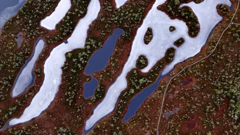 frozen pond, surrounded by brown and green trees and shrubs, from an aerial view