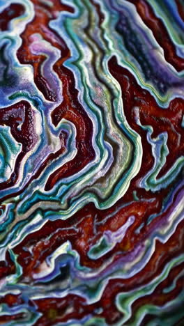 close-up view of an abalone shell