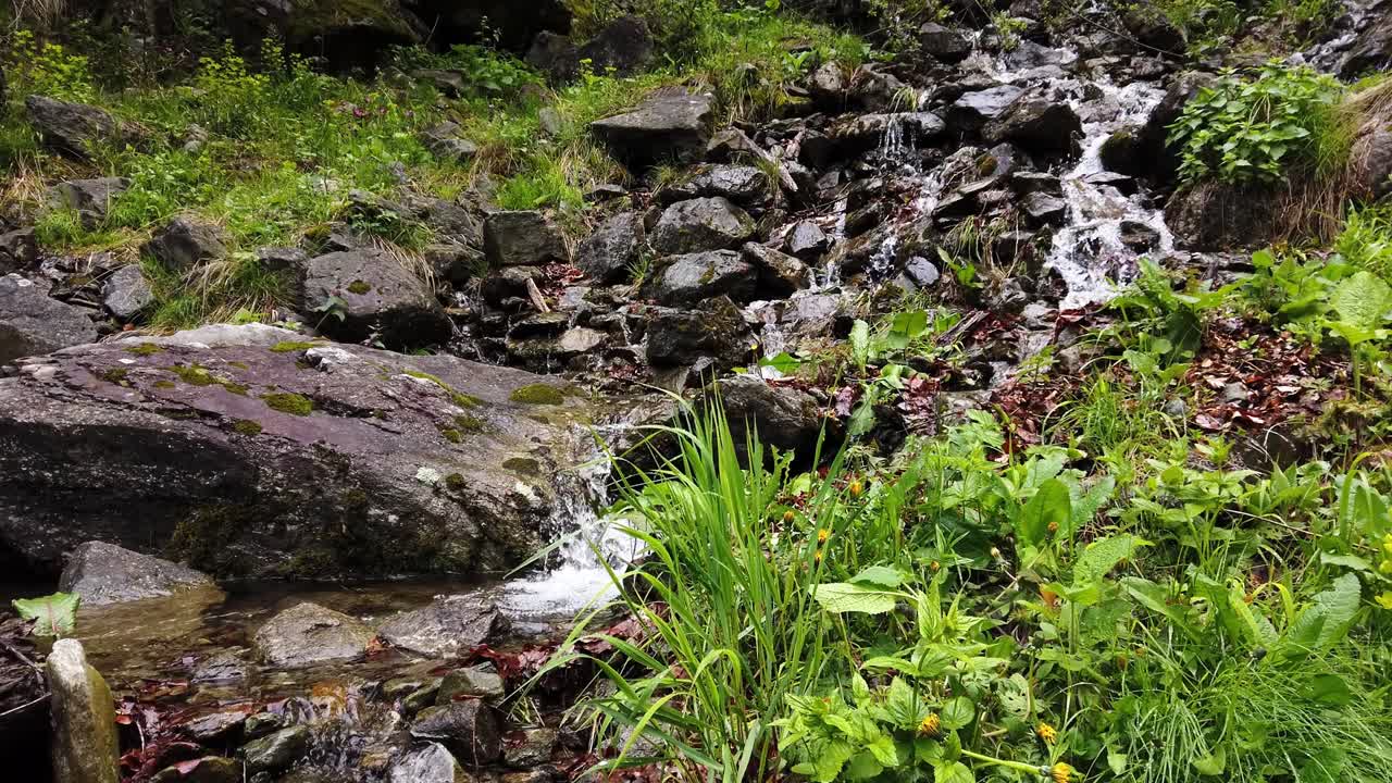 cascada en las montañas bosque cayendo al árbol roto