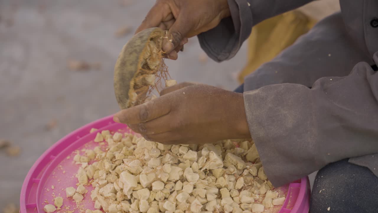 se clasifican a mano las semillas de baobab