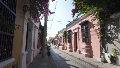 bougainvillea blooms over cartagena's tranquil colonial street, colombia