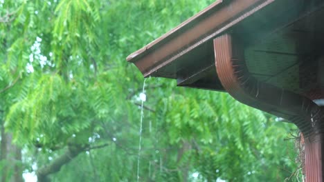 rainy storm - water flowing off eavestrough gutter downspout