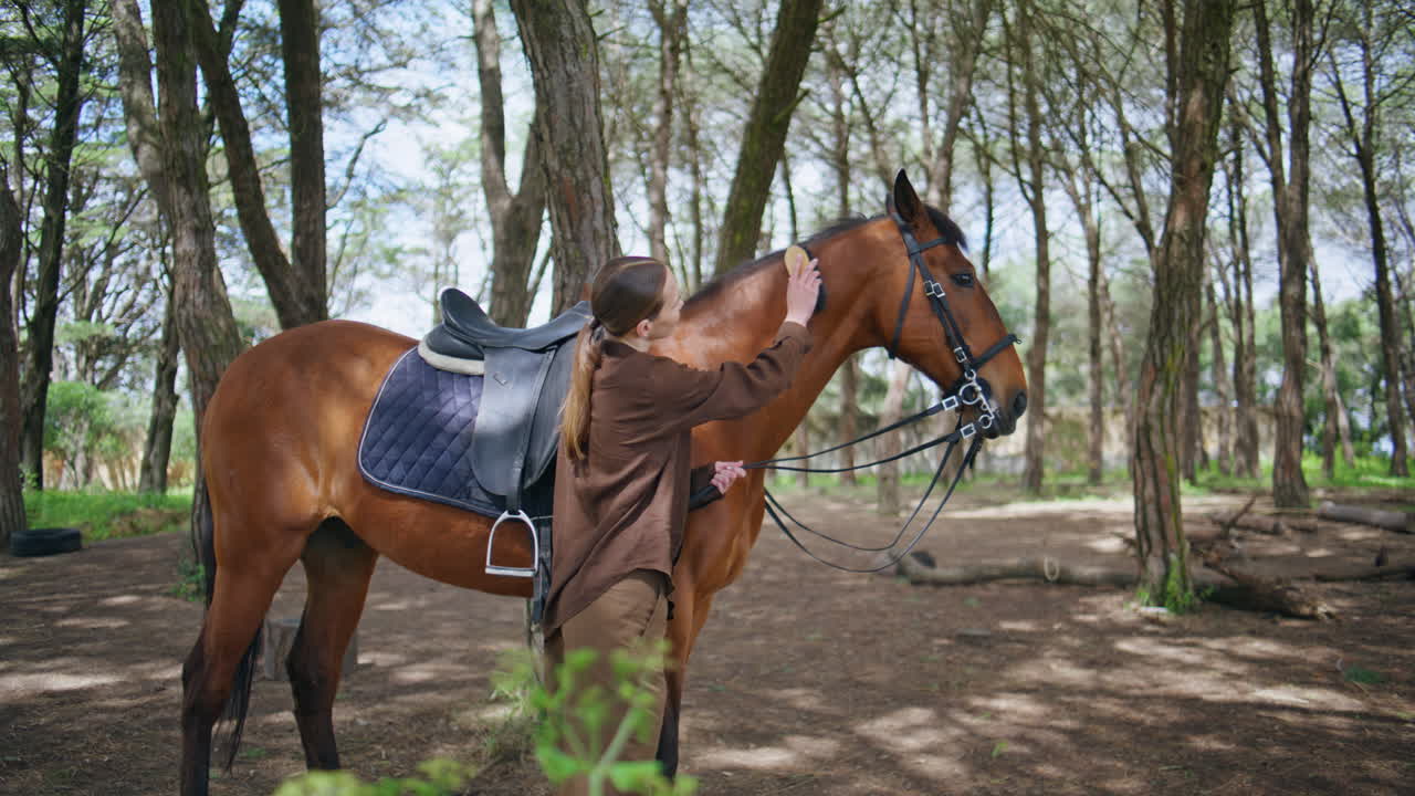 Equestrian woman grooming horse at greenery farm. Stallion owner rubbing pet