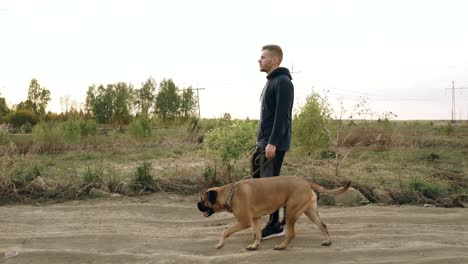 체육관 훈련 후 야외에서 bullmastiff 개와 함께 고 있는 젊은 스포츠 남자의 리