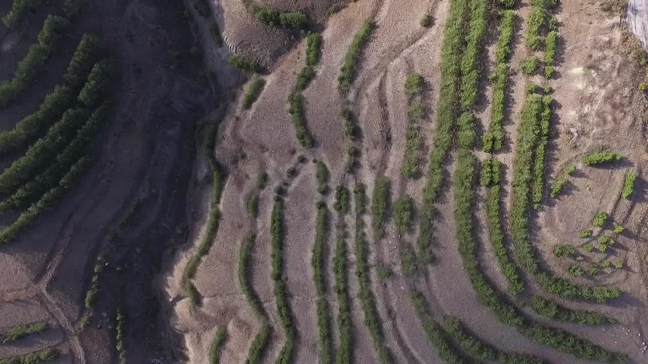 agricultura en terrazas en las colinas