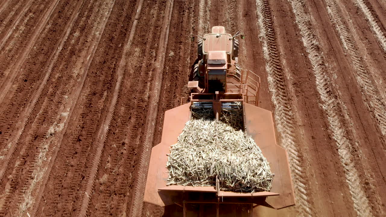 tractor automatizado plantando caña de azúcar en brasil