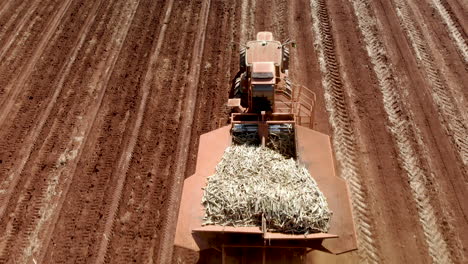 Automated-tractor-planting-sugar-cane-in-Brazil